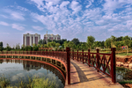 桥 桥头 湖水 公园 风景