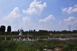 湖畔 公园 景观 湖水 湖