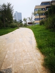 道路