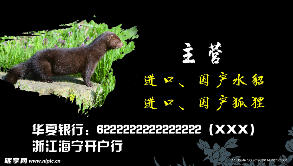 水貂