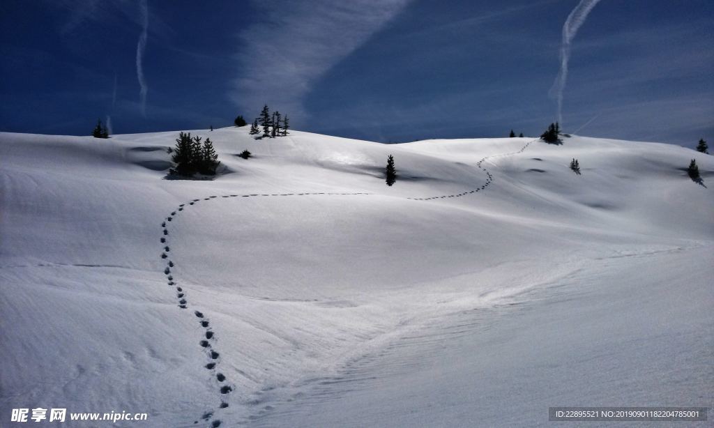 雪地脚印图