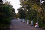 林间小路