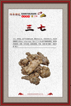 三七