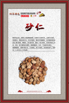 砂仁