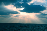 大海