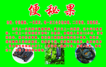便秘果