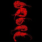 虾