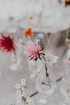 花瓶 背景素材