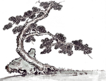 古树