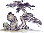 古树