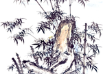 古树