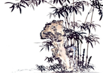 古树