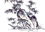 古树