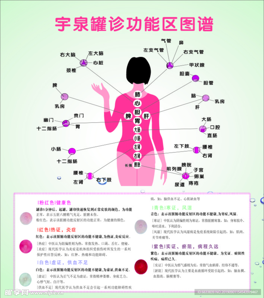 宇泉罐诊图穴位图