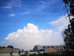 风景