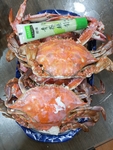 螃蟹