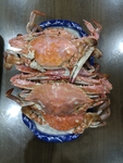 螃蟹