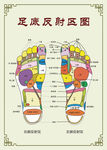 足底反射图 气血能量图仿古花边