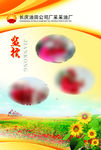 员工风采