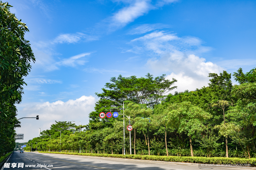 广东东莞 茶山生态园 茶山镇