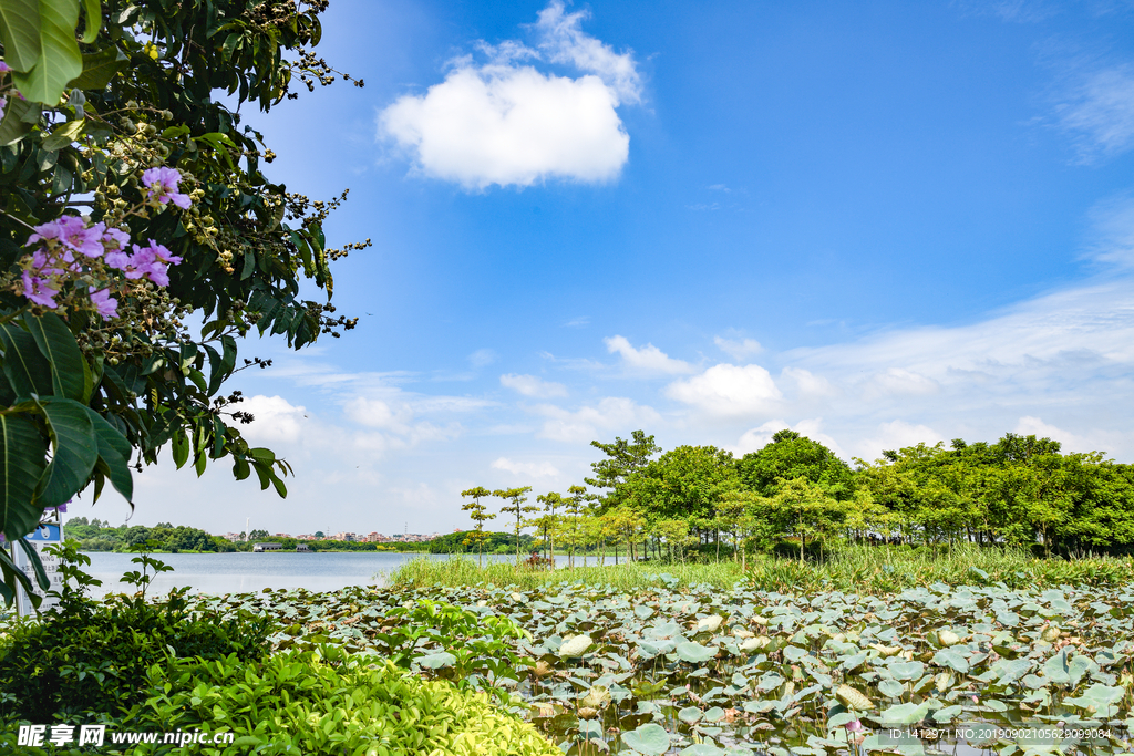 广东东莞 茶山生态园 茶山镇