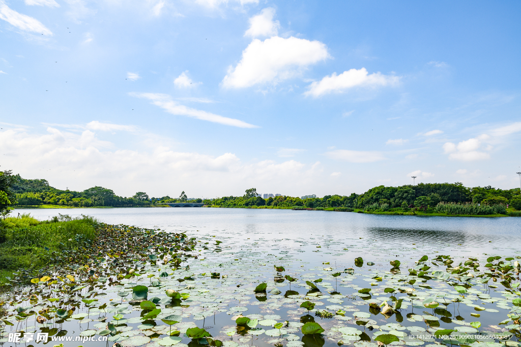 广东东莞 茶山生态园 茶山镇