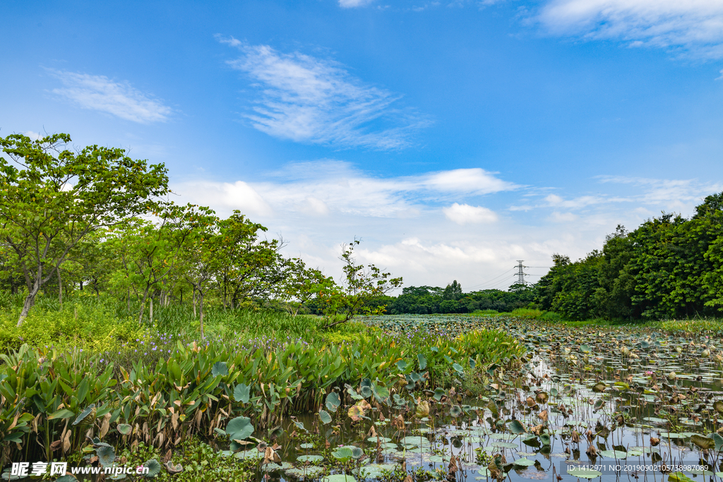 广东东莞 茶山生态园 茶山镇