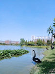 学院风景油画效果