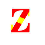 标志 ZS