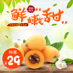 琵琶