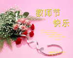 玫瑰花 一束花 教师节