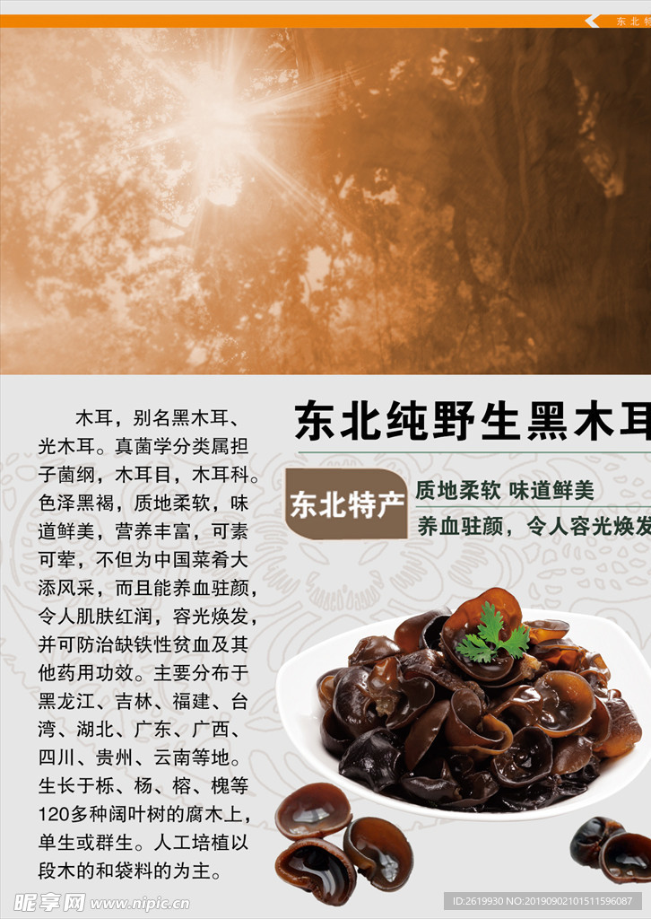 东北纯天然 野生 黑木耳 山货