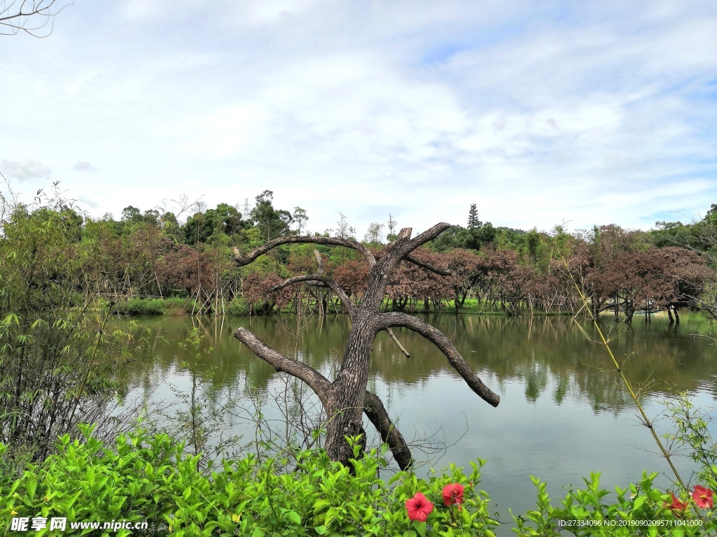 珠海 香山湖公园