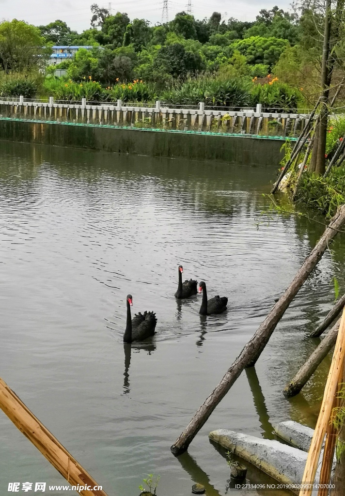 珠海 香山湖公园