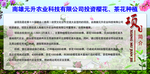 项目简介