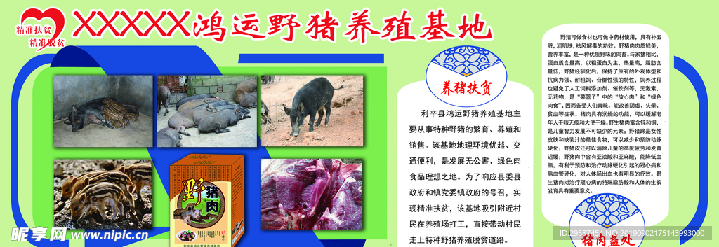 野猪养殖 养殖 宣传海报