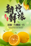 水果 水果海报 水果超市 果蔬
