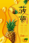 菠萝海报