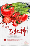 小清新西红柿海报