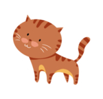 卡通猫 透明背景 免扣 PNG