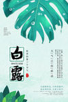白露
