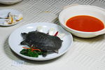 红汤甲鱼