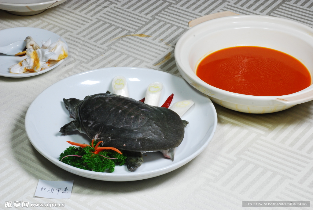 红汤甲鱼