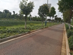 道路
