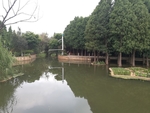 湿地
