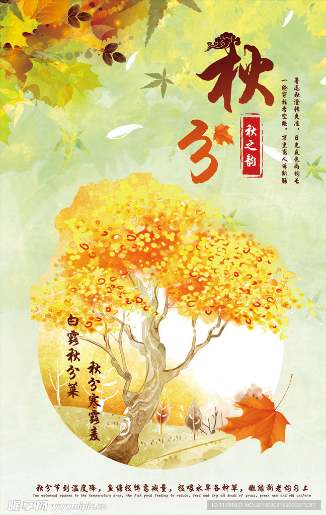 秋分