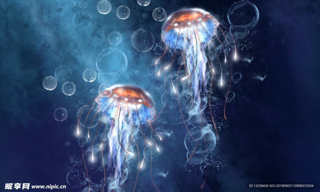 水母插画背景海洋生物