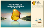 观湖