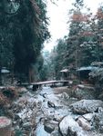 小桥流水人家