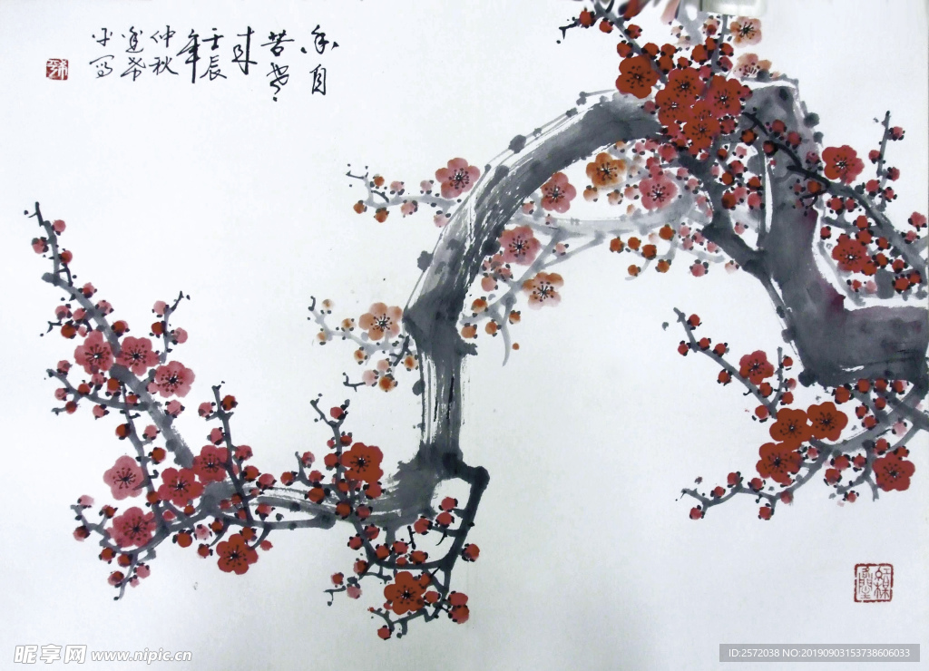 香自苦寒来